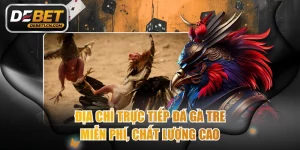 Trực tiếp đá gà tre