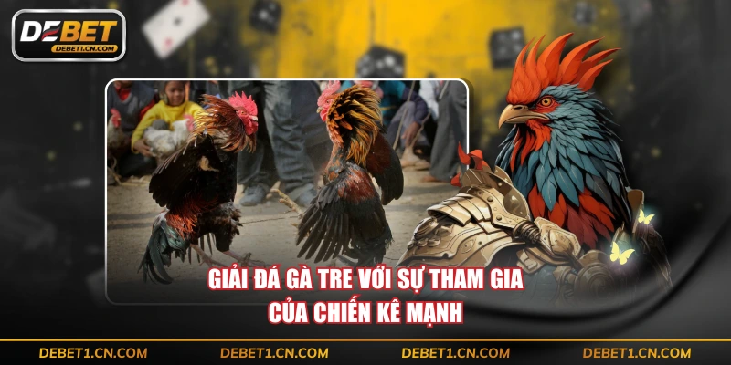 Giải đá gà tre với sự tham gia của chiến kê mạnh